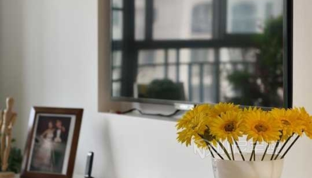 110㎡/兩室兩廳兩衛/田園